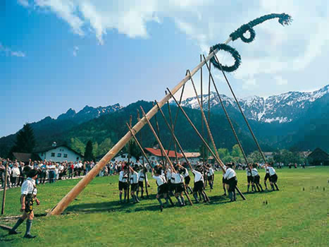 Tilleul à Danser planté à Mazille, France